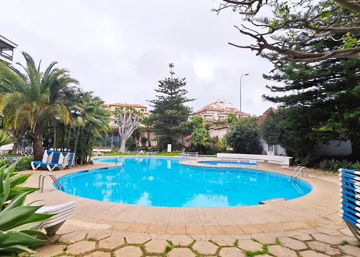 Estudio En Puerto De La Cruz