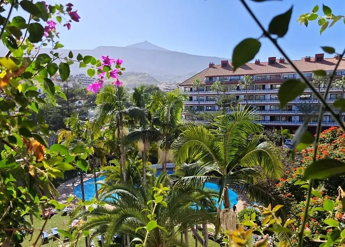 Estudio En Puerto De La Cruz